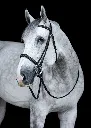 squishy_BBG-1.webp