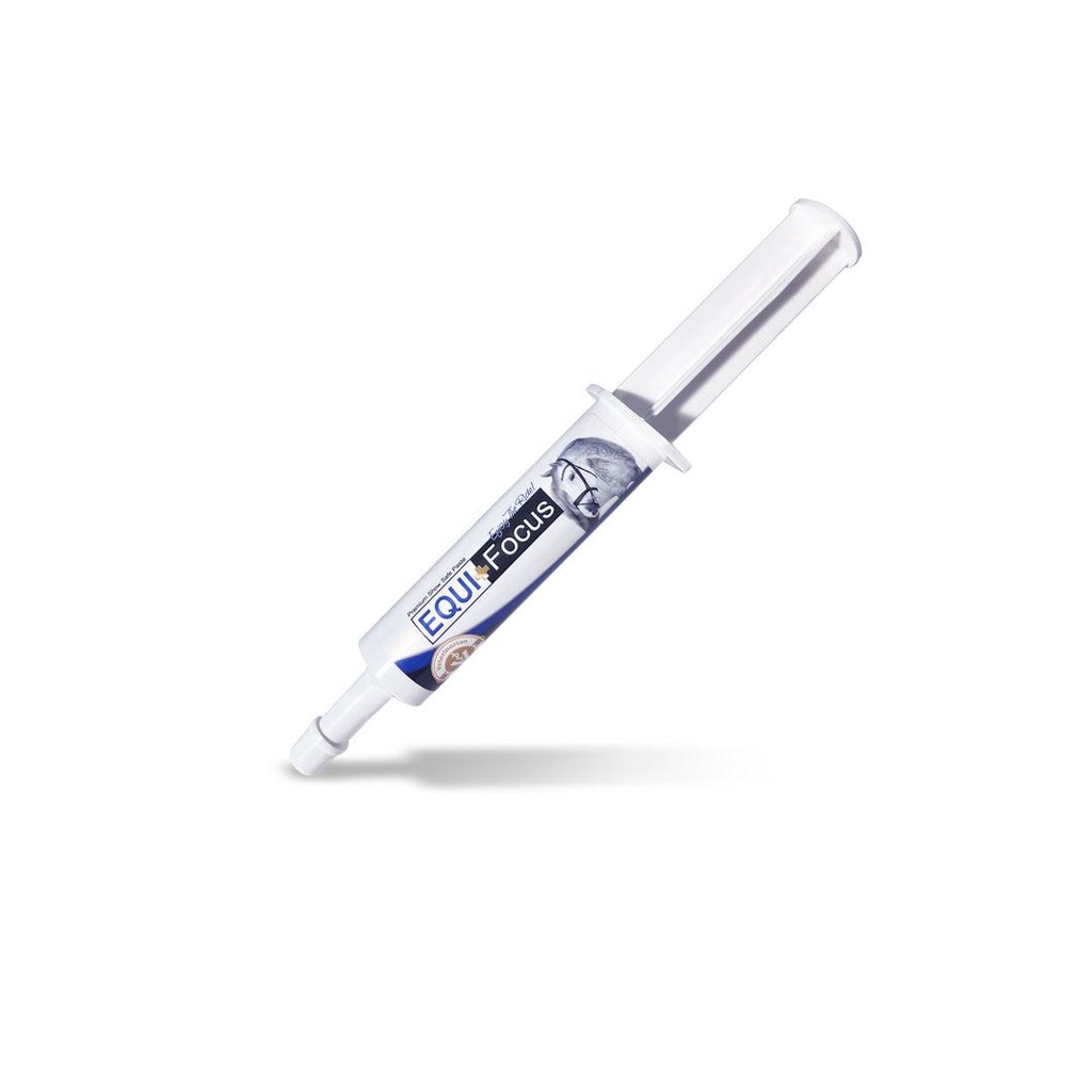 [3100] EQUI+Focus Paste