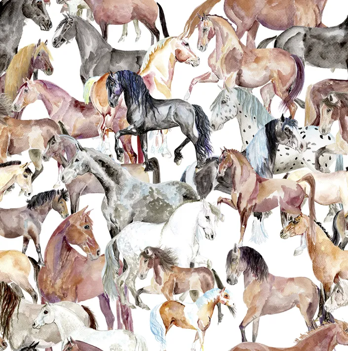 [200301001ADC5] Snazzy Ladies Socks (Horses, Horses, Horses)